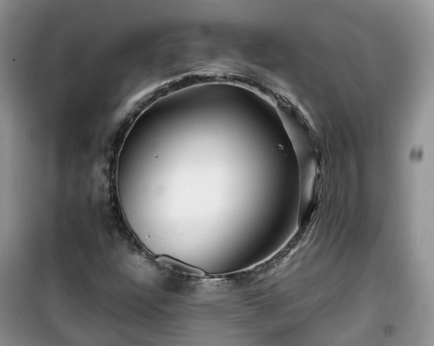 X0000099491304200805221328