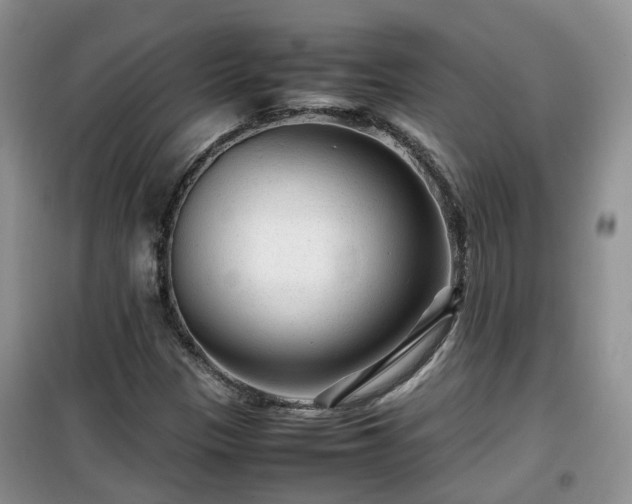X0000099491305200805221328