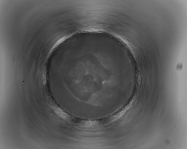 X0000099491306200805221328