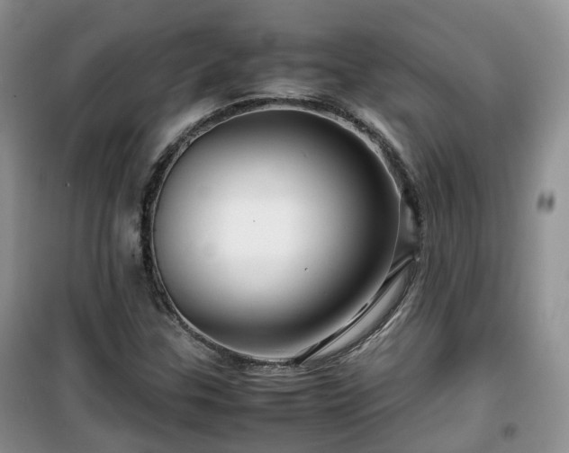 X0000099491307200805221328