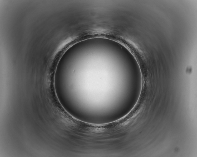 X0000099491309200805221328