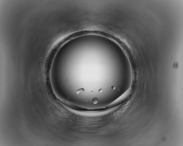 X0000099491311200805221329