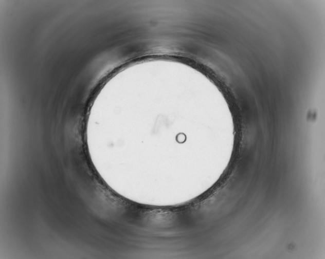 X0000099491314200805221329