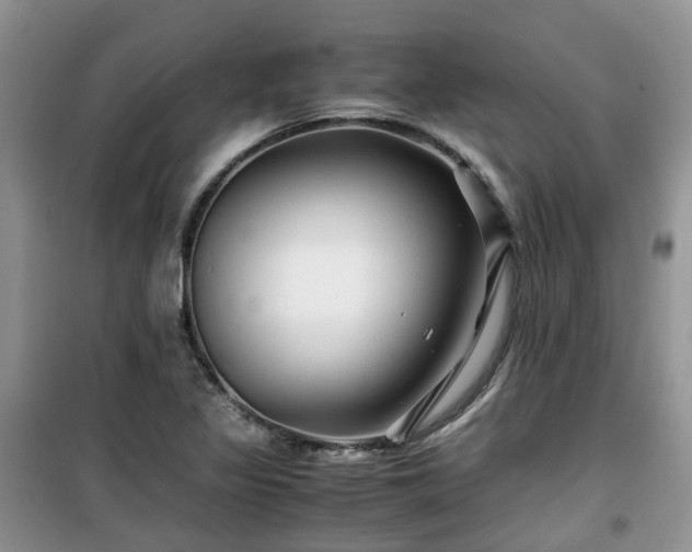 X0000099491317200805221329