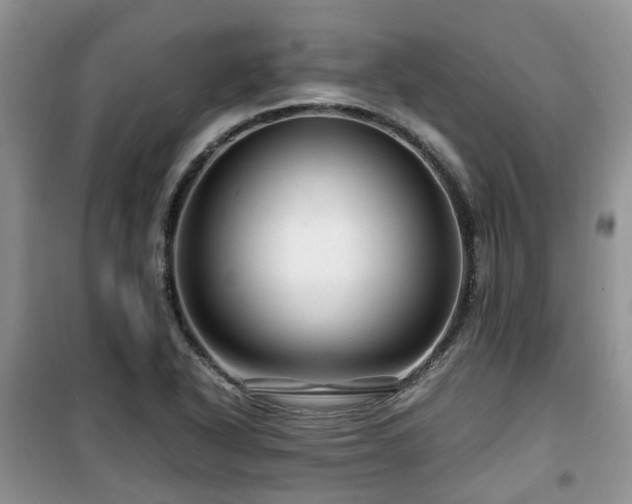 X0000099491318200805221329