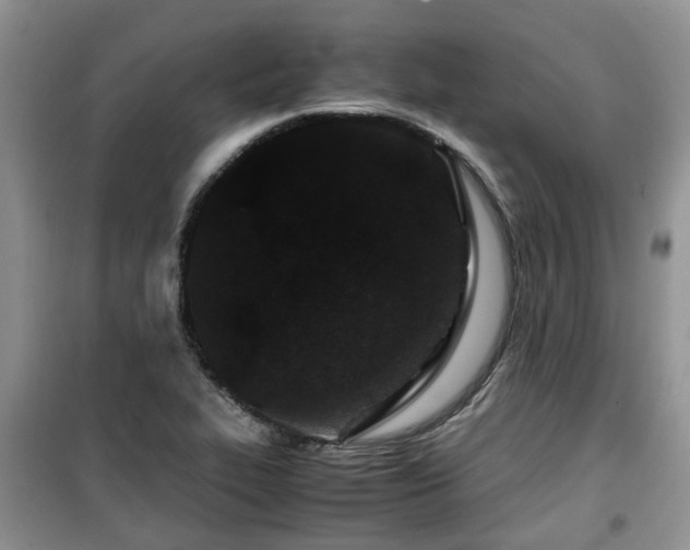 X0000099491319200805221329