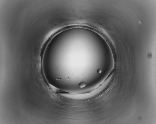 X0000099491320200805221329