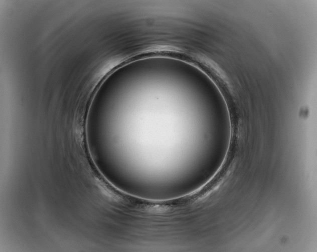 X0000099491321200805221329