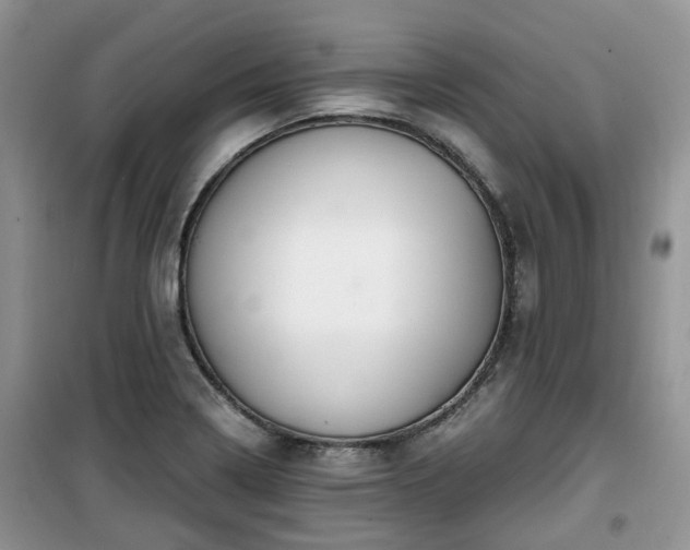 X0000099491322200805221329