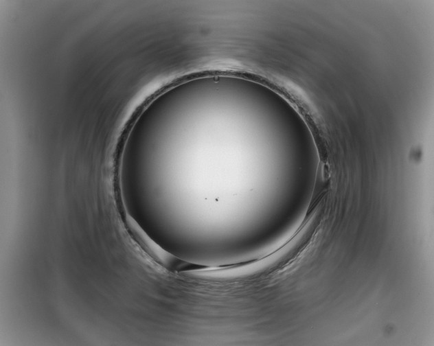 X0000099491326200805221329