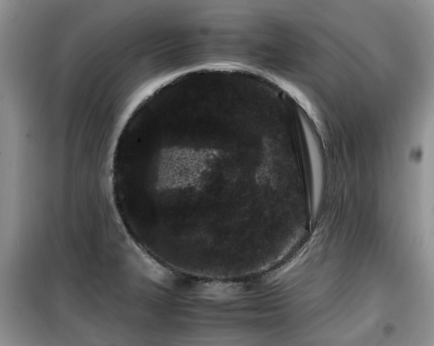 X0000099491327200805221329