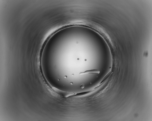 X0000099491328200805221329