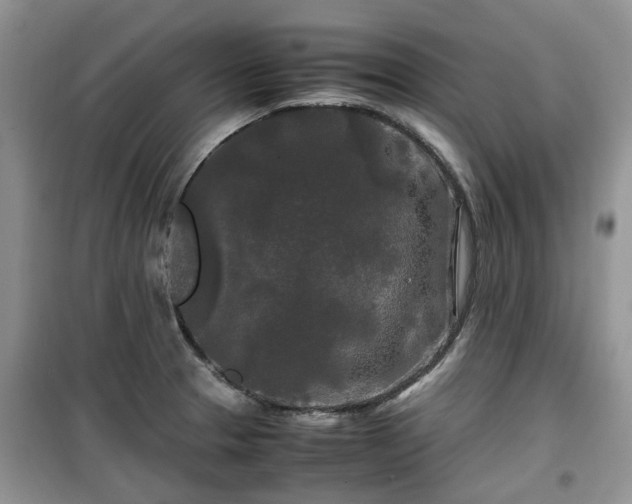X0000099491329200805221329