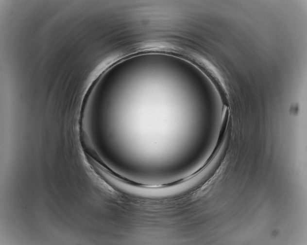 X0000099491330200805221329