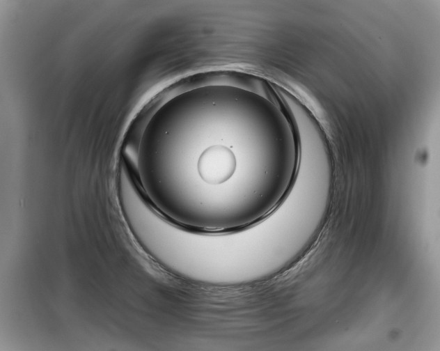 X0000099491332200805221329