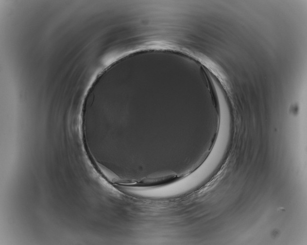 X0000099491334200805221329
