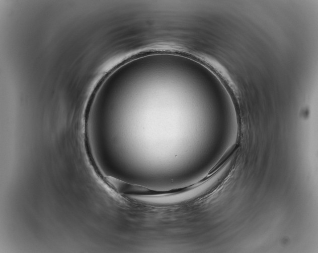 X0000099491335200805221329