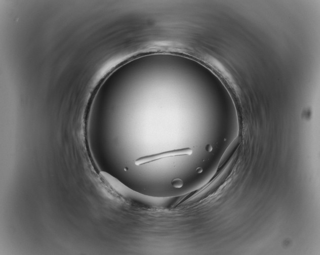X0000099491336200805221329