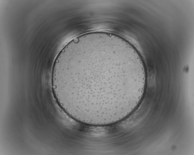 X0000099491338200805221329