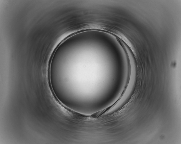 X0000099491339200805221329