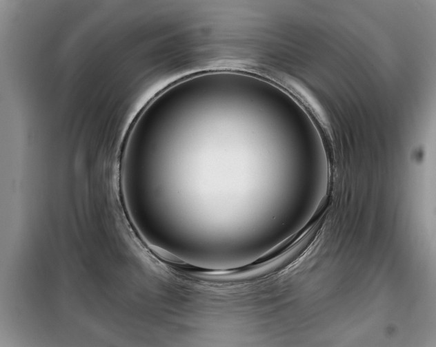X0000099491340200805221329