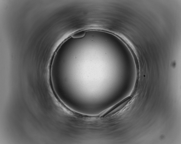 X0000099491341200805221329