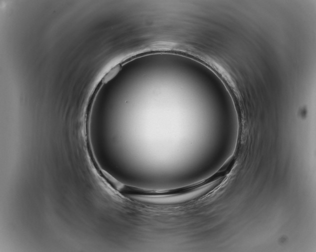 X0000099491342200805221329