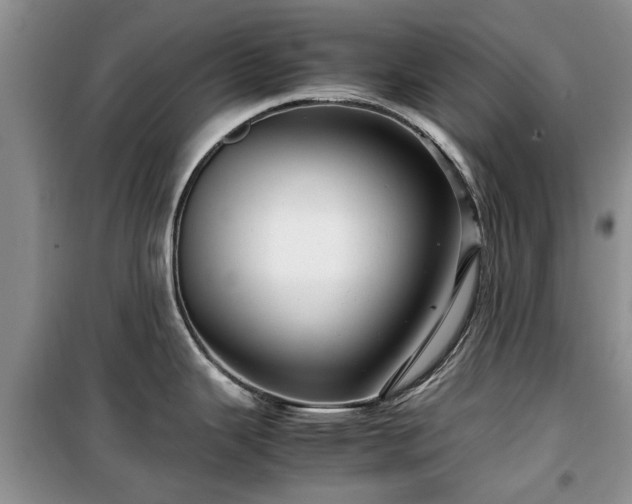 X0000099491343200805221329