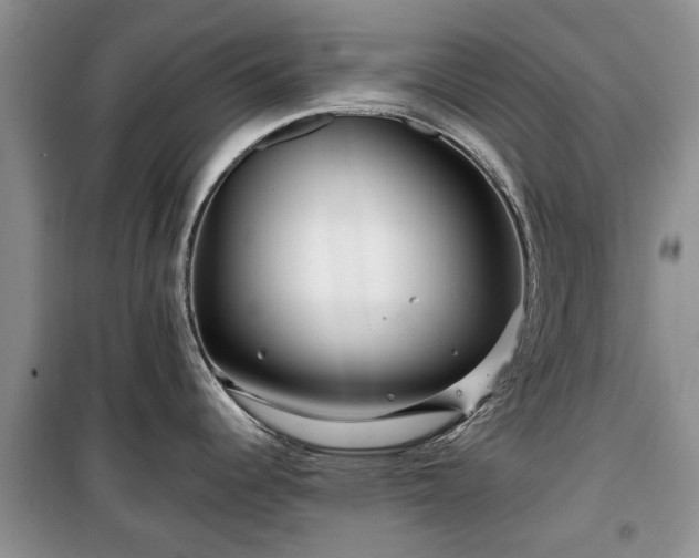 X0000099491344200805221329