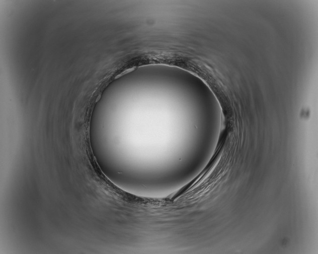 X0000099491345200805221328