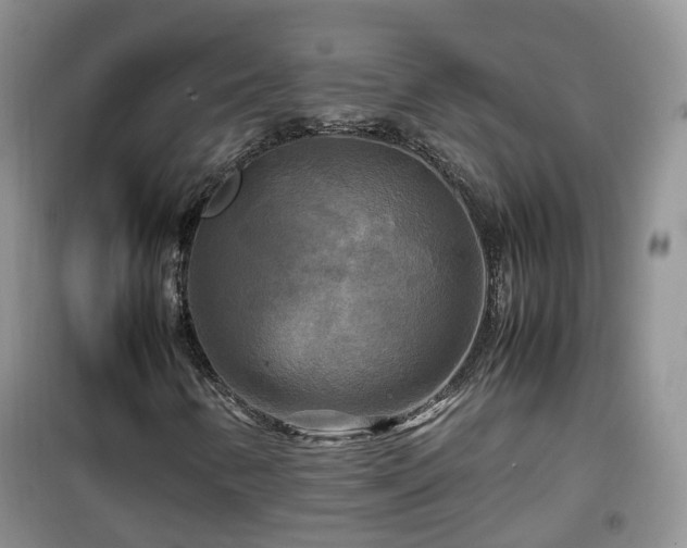 X0000099491346200805221328