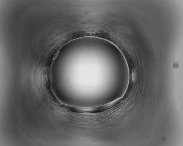 X0000099491347200805221328