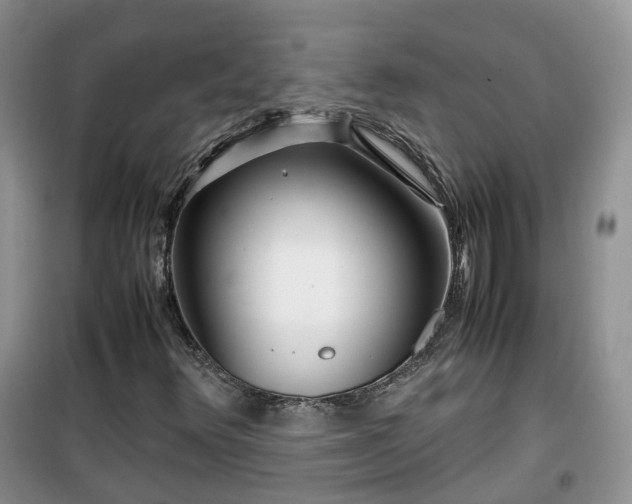 X0000099491348200805221328