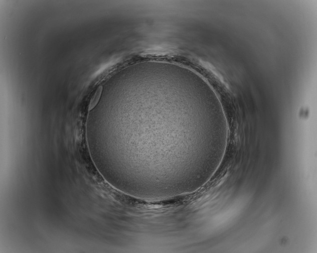 X0000099491350200805221328