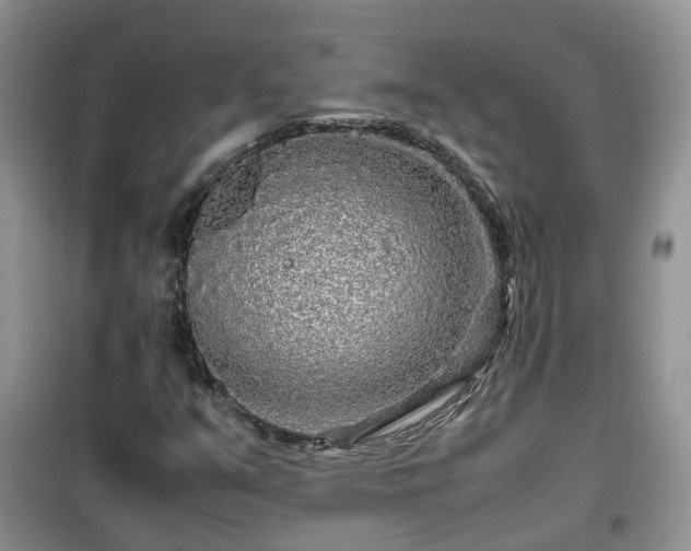 X0000099491351200805221328