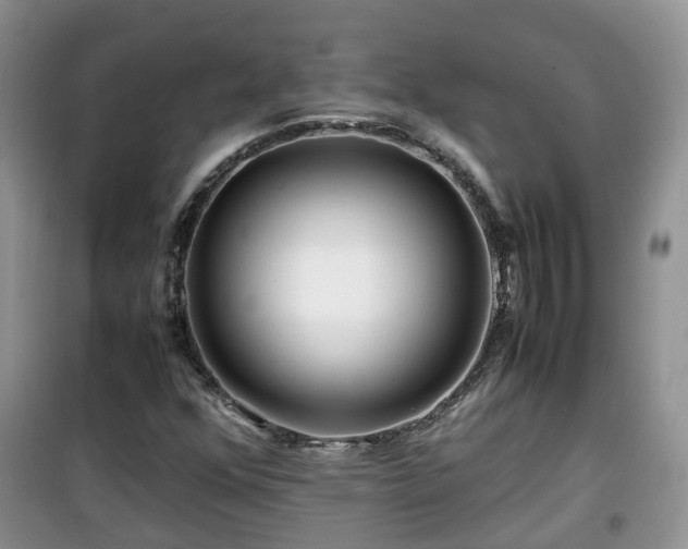 X0000099491352200805221328