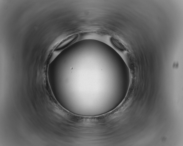 X0000099491354200805221328