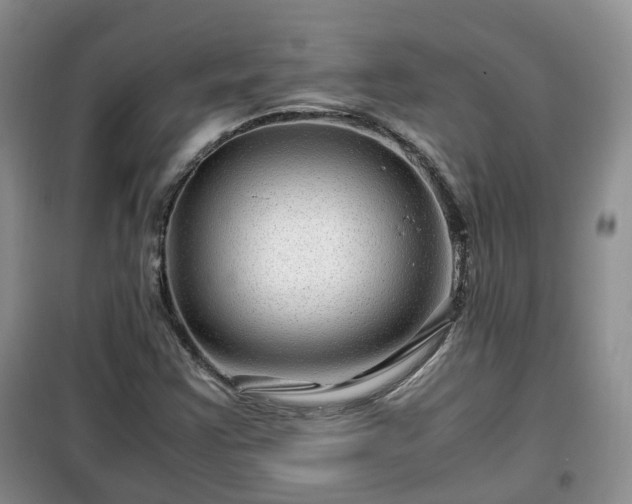 X0000099491355200805221328