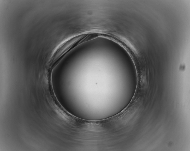X0000099491356200805221328