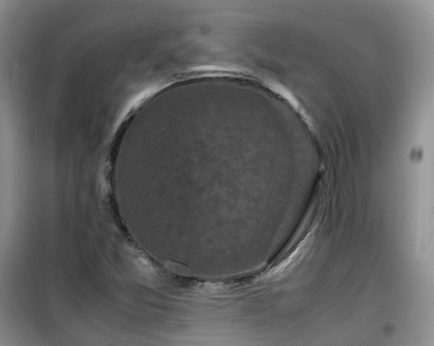 X0000099491357200805221328