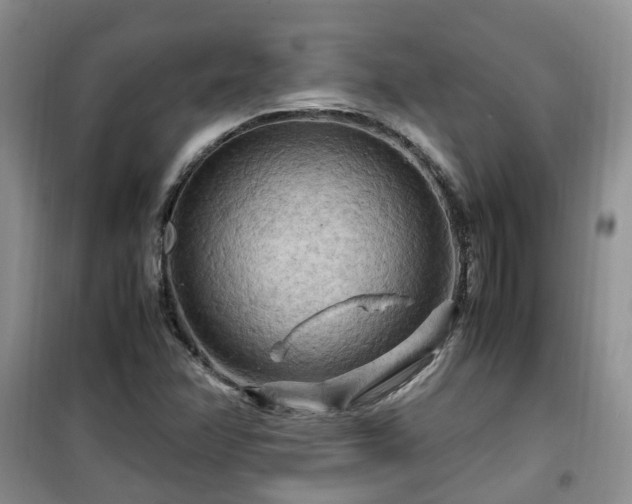 X0000099491358200805221328