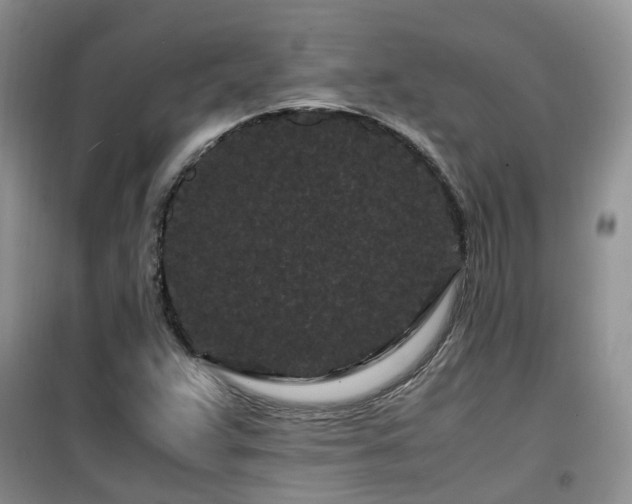 X0000099491359200805221328