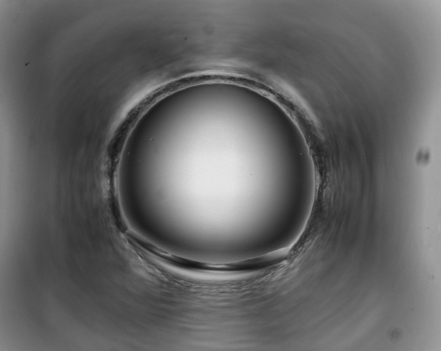 X0000099491360200805221328