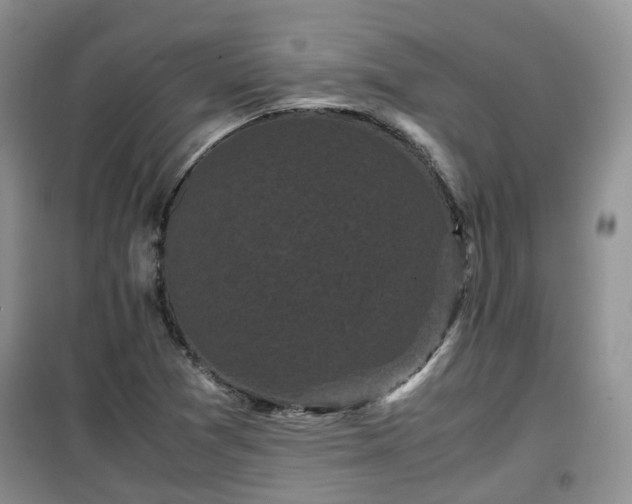 X0000099491361200805221328