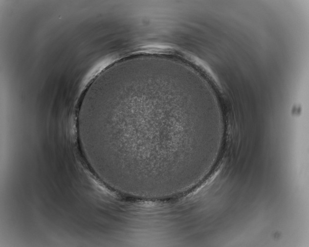 X0000099491362200805221328