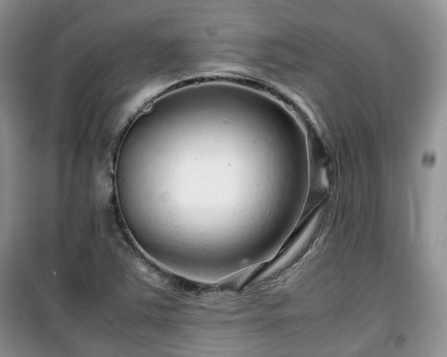 X0000099491363200805221328