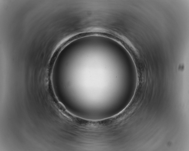 X0000099491364200805221328