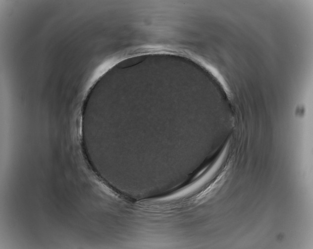 X0000099491365200805221328
