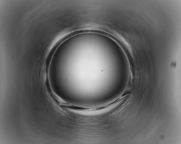 X0000099491368200805221328