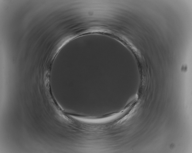X0000099491369200805221328